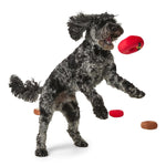 Plush Donut Squeaky Dog Toy – Soft & Fun Chew Toy for Pets