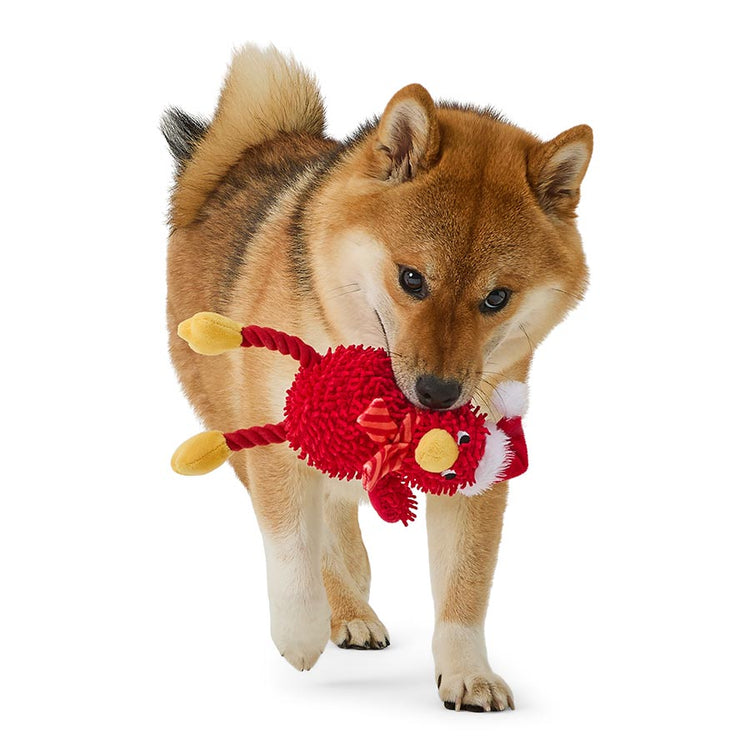 Christmas Turkey Tug Rope Squeaky Toy – Mini Dog Play Toy